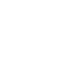 Chief Operating Officer Name